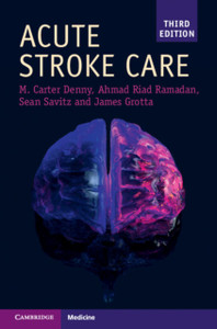 Acute Stroke Care Acute Stroke Care