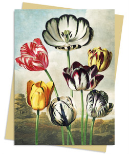 Temple of Flora: Tulips Greeting Card Pack : Pack of 6 Temple of Flora: Tulips Greeting Card Pack : Pack of 6