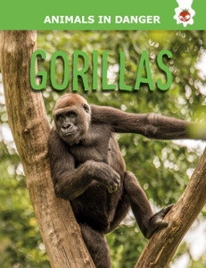 Gorillas Gorillas