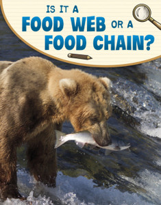 Is It a Food Web or a Food Chain? Is It a Food Web or a Food Chain?