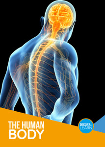 The Human Body The Human Body