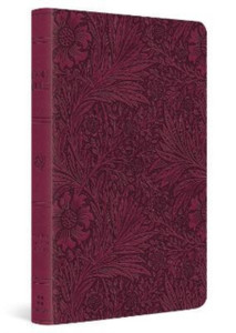 ESV Large Print Value Thinline Bible