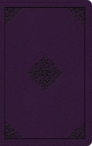 ESV Large Print Personal Size Bible, Red Letter