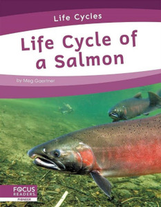 Life Cycles: Life Cycle of a Salmon Life Cycles: Life Cycle of a Salmon