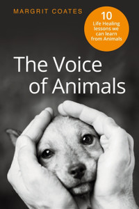 The Voice of Animals: 10 Life-Healing Lessons We Can Learn From Animals