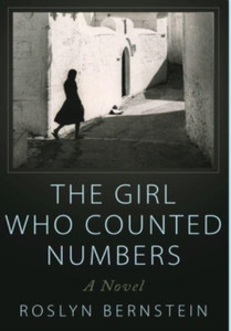 The Girl Who Counted Numbers: A Novel