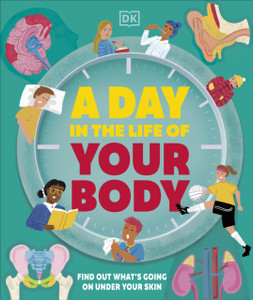 A Day in the Life of Your Body: Find Out What's Going on Under Your Skin