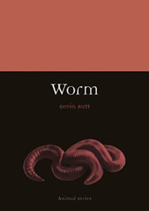 Worm