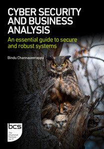 Cyber Security and Business Analysis: An essential guide to secure and robust systems