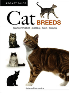 Cat Breeds: Characteristics * Breeds * Care * Origins