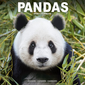 Panadas Calendar 2026  Square Animal Wall Calendar - 16 Month