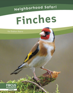 Finches