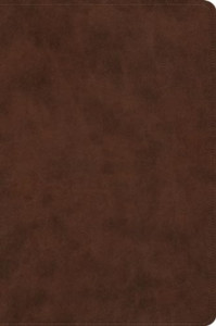 ESV Holy Bible: Dyslexia-Friendly Edition (TruTone, Brown)
