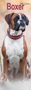 Boxer Slim Calendar 2026  Dog Breed Slimline Calendar - 12 Month