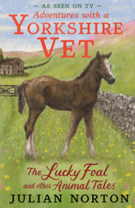 Adventures with a Yorkshire Vet: The Lucky Foal and Other Animal Tales: The perfect Christmas present for readers age 8+ who love animals great and small