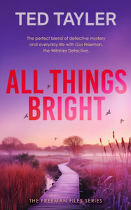 All Things Bright: A Cold Case Murder Mystery Series