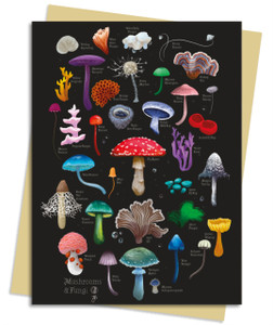 Anna Stead: Mushrooms & Fungi Greeting Card Pack: Pack of 6