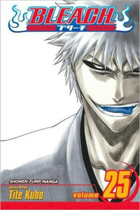 Bleach, Vol. 25 by Tite Kubo (Author)