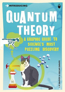 Introducing Quantum Theory by J.P. McEvoy (Author)