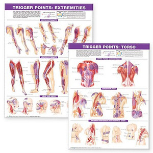 Trigger Point Chart Set: Torso & Extremities Paper by Unknown (Author)