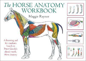 Horse Anatomy Workbook: A Learning Aid For Students Based On Peter Goody'S Classic Work, Horse Anatomy