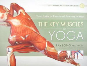 Key Muscles of Yoga: Your Guide to Functional Anatomy in Yoga Key Muscles of Yoga: Your Guide to Functional Anatomy in Yoga