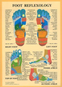 Foot Reflexology -- A4 Foot Reflexology -- A4