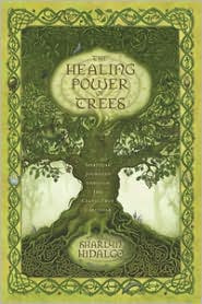 The Healing Power of Trees: Spiritual Journeys Through the Celtic Tree Calendar