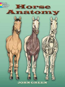 Horse Anatomy Coloring Book Horse Anatomy Coloring Book