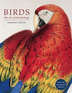 Birds: The Art Of Ornithology (Boxed Set) Birds: The Art Of Ornithology (Boxed Set)