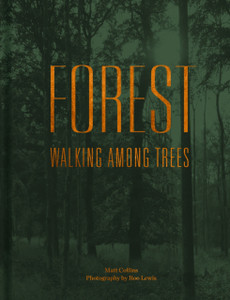 Forest: Walking Among Trees Forest: Walking Among Trees