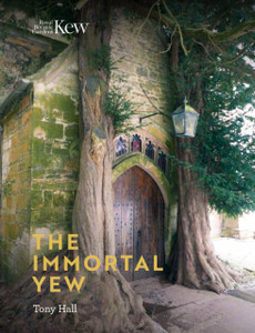 Immortal Yew, The Immortal Yew, The