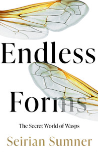 Endless Forms: The Secret World Of Wasps Endless Forms: The Secret World Of Wasps