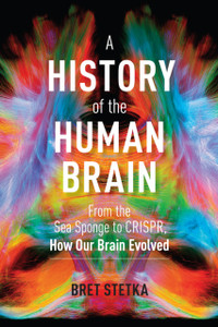 History Of The Human Brain: From The Sea Sponge To Crispr, How Our Brain Evolved