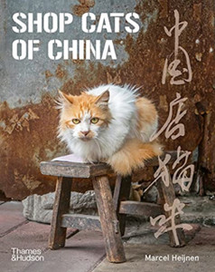 Shop Cats Of China Shop Cats Of China
