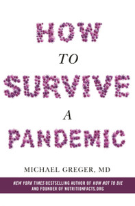 How To Survive A Pandemic How To Survive A Pandemic