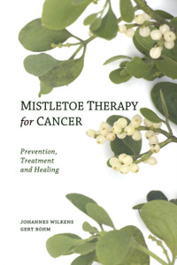 Mistletoe Therapy For Cancer Mistletoe Therapy For Cancer