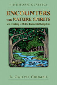 Encounters With Nature Spirits: Co-Creating With The Elemental Kingdom
