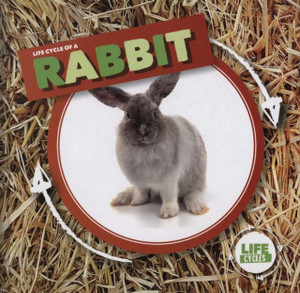 Rabbit - 9781786379382