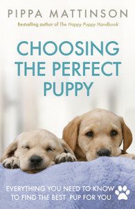 Choosing The Perfect Puppy