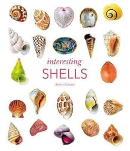 Interesting Shells Interesting Shells
