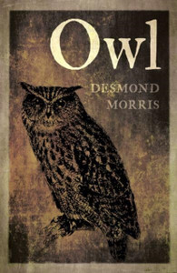 Owl - 9781780239163 Owl - 9781780239163