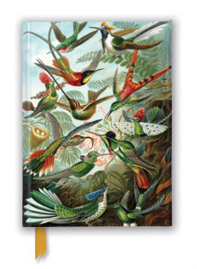 Ernst Haeckel: Hummingbirds (Foiled Journal) Ernst Haeckel: Hummingbirds (Foiled Journal)