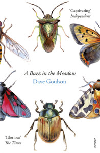 A Buzz In The Meadow A Buzz In The Meadow