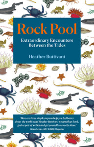 Rock Pool: Extraordinary Encounters Between The Tides