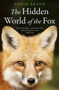 The Hidden World Of The Fox