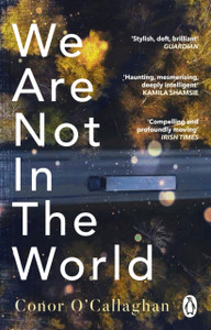 We Are Not In The World: 'Compelling And Profoundly Moving' Irish Times - 9781529176360 We Are Not In The World: 'Compelling And Profoundly Moving' Irish Times - 9781529176360