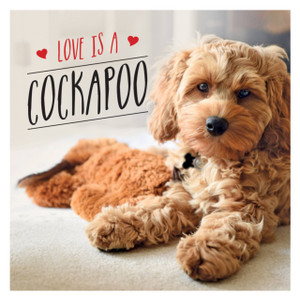 Love Is A Cockapoo: A Dog-Tastic Celebration Of The World'S Cutest Breed Love Is A Cockapoo: A Dog-Tastic Celebration Of The World'S Cutest Breed