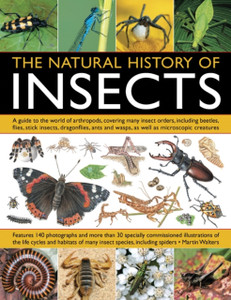 Natural History Of Insects Natural History Of Insects