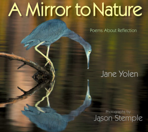 Mirror To Nature, A: Poems About Reflection